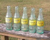 Set of 5 Nu-Grape Bottles Nashville, TN, Bowling Green, KY 1940 39 s
