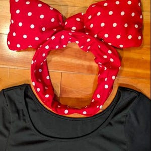 Mini Mouse Dress with Tulle Skirt