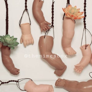 May include: A collection of eight doll arms and legs hanging from the ceiling, each with a small plant growing inside. The arms and legs are made of plastic and are painted in a realistic skin tone. The plants are all green and healthy. The background is a white wall. The text "@themimebox" is written on the wall.