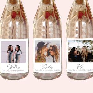 Personalized Bridesmaid Wine Bottle Mini Champagne Labels Pairs Bridesmaid Proposal Bottle Labels Bridesmaid Gift Bottle Stickers Labels image 1