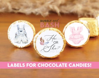 Boho Gender Reveal Chocolate Kiss Stickers Candy Label Stickers Printed Gender Reveal Party Boho Gender Reveal Trendy BB1302