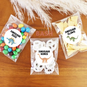Dinosaur Birthday Favors Labels Snack Stickers Thank You Stickers Favor Stickers Birthday Party Snack Stickers For Favors BB1138