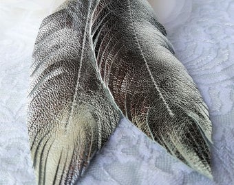 May include: A pair of silver leather feather earrings with silver hooks. The feathers are long and have a textured surface.
