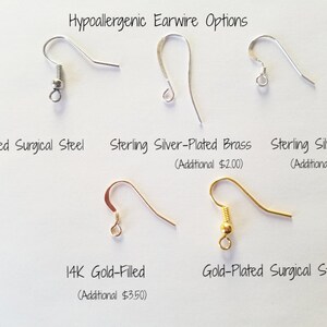 May include: Five different hypoallergenic earwire options for earrings.  The options are silver-plated surgical steel, sterling silver-plated brass, sterling silver, 14K gold-filled, and gold-plated surgical steel.  Each earwire is shown in a close-up image.