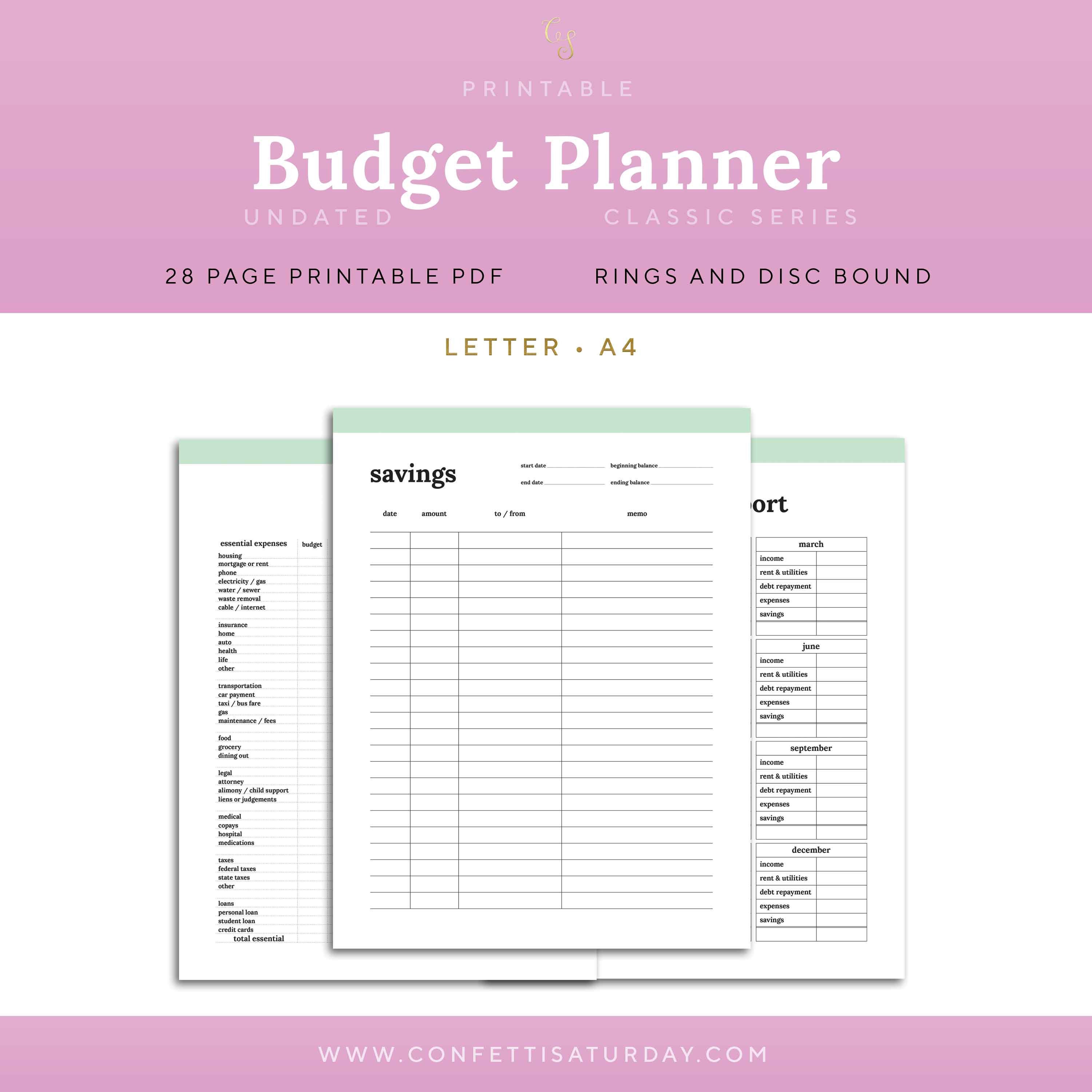 Budget Planner, Printable Agenda Pages, Letter and A4 Rings or Discs, Large  Discs Inserts, Big Happy Planner PBUD-1200-L, Instant Download 