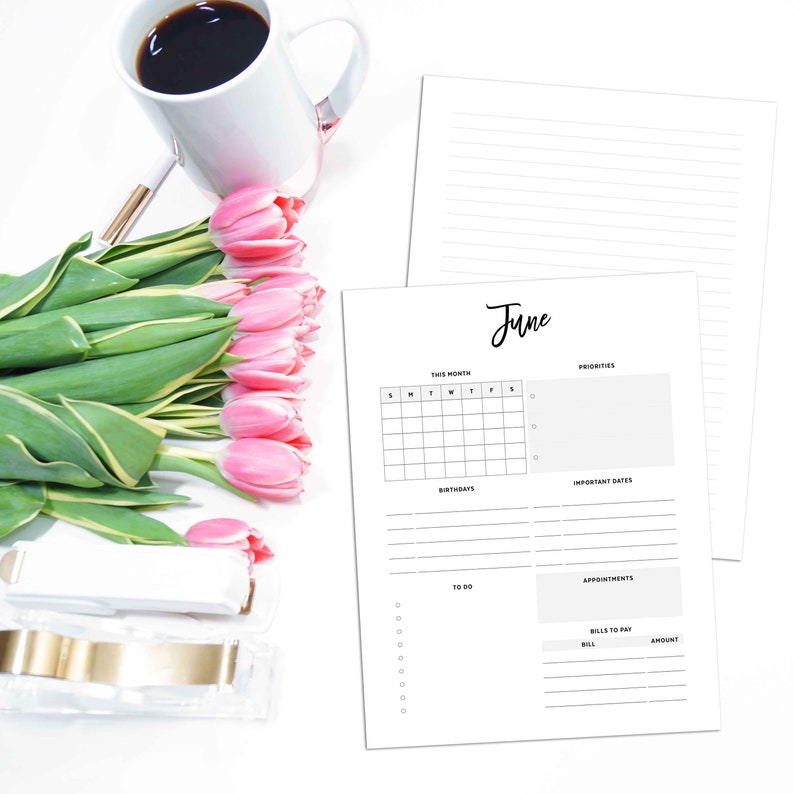 Monthly Overview Planner Printable Page, Classic Happy Planner Disc ...