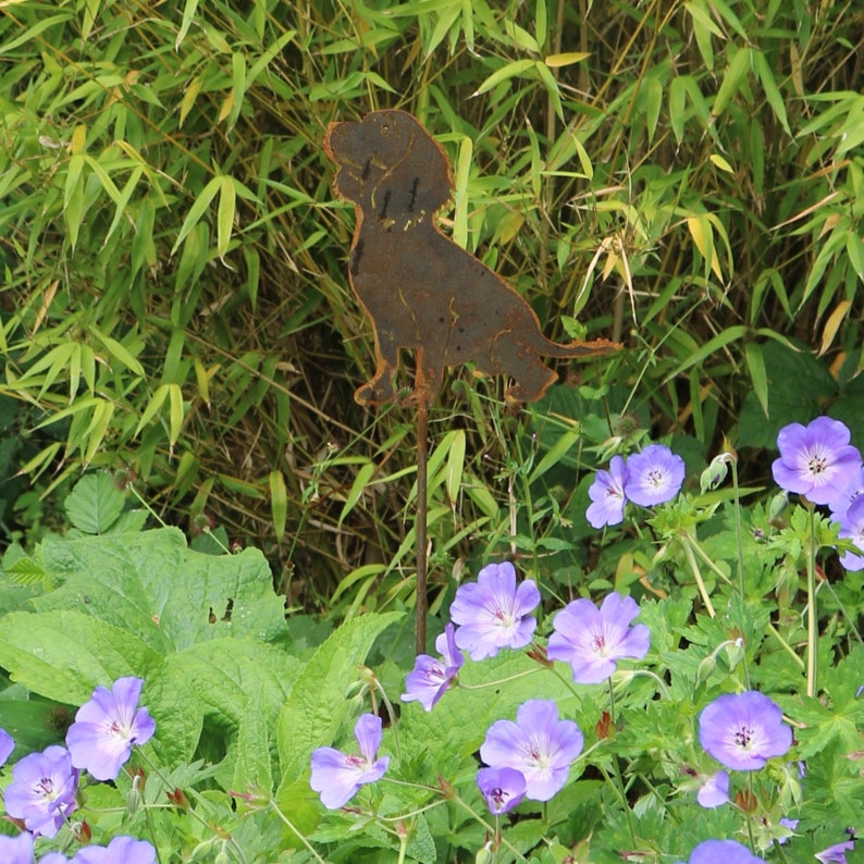 Op de afbeelding: Een roestig metalen silhouet van een hond die in een tuin staat met paarse bloemen. De hond kijkt naar rechts en heeft zijn hoofd omhoog gekanteld.
