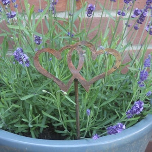 May include: Two rusty metal hearts intertwined on a metal stake, surrounded by lavender plants in a blue pot.