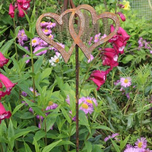 Peut inclure: Deux c&oelig;urs en m&eacute;tal rouill&eacute; entrelac&eacute;s sur un piquet en m&eacute;tal, entour&eacute;s de fleurs roses et violettes dans un jardin.