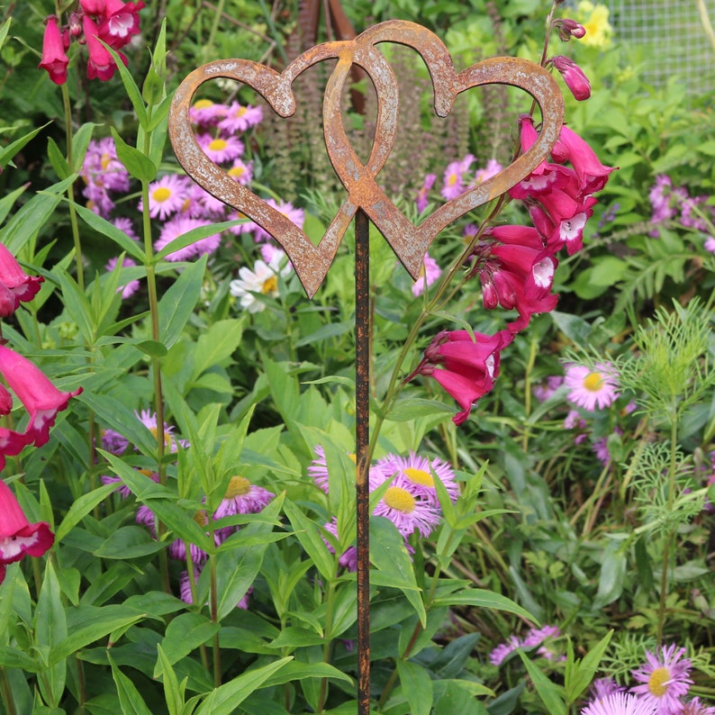 Peut inclure: Deux c&oelig;urs en m&eacute;tal rouill&eacute; entrelac&eacute;s sur un piquet en m&eacute;tal, entour&eacute;s de fleurs roses et violettes dans un jardin.