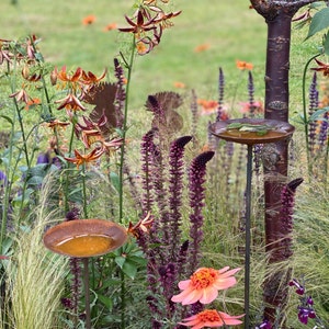 Rusty Corten Steel Rain Catcher, Garden Art, 11th Anniversary Gift
