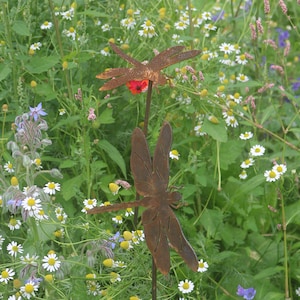 Rusty metal dragonflies outdoor and garden gift, set of 2 dragonflies garden decoration