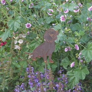 Rusty metal working cocker spaniel dog outdoor and garden gift, cocker spaniel garden art afbeelding 5