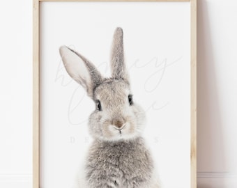Baby Bunny Print: Grey Rabbit Nursery Wall Art