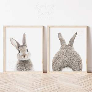 Bunny Prints Set: Nursery Animal Portrait & Tail Posters