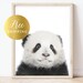 PRINTED Poster | Baby Panda Print, Safari Baby Animal Picture, Panda ...