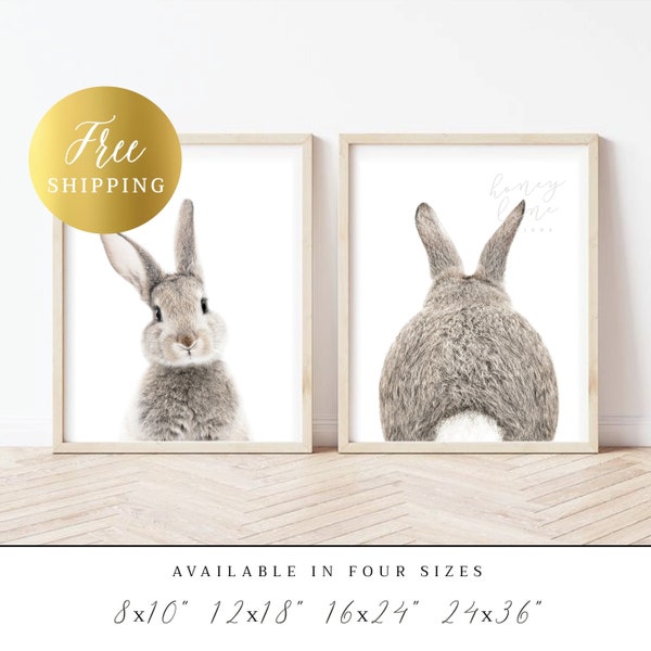 PRINTED Posters | Set of 2 Bunny Prints, Rabbit Wall Art, Bunny Picture, Animal Print - Home, Bedroom & Nursery Print | United States