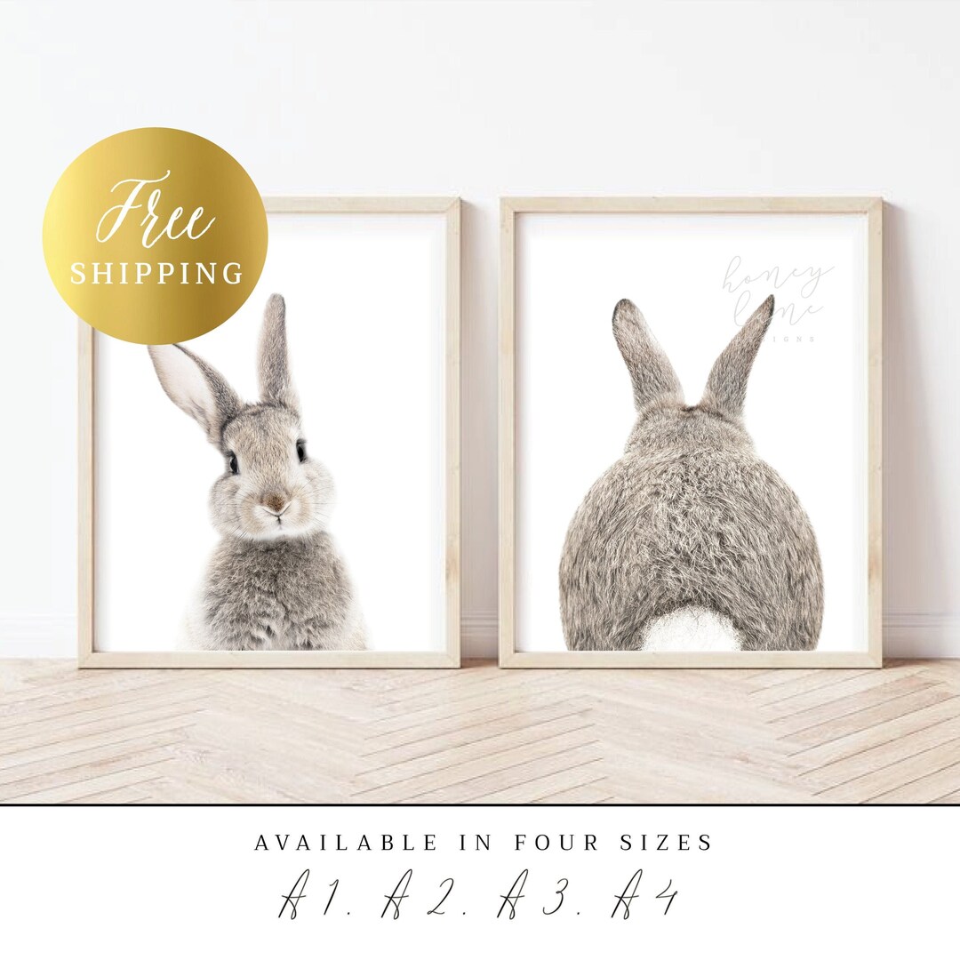 PRINTED Posters | Set of 2 Bunny Prints, Bunny Picture, Animal Print ...