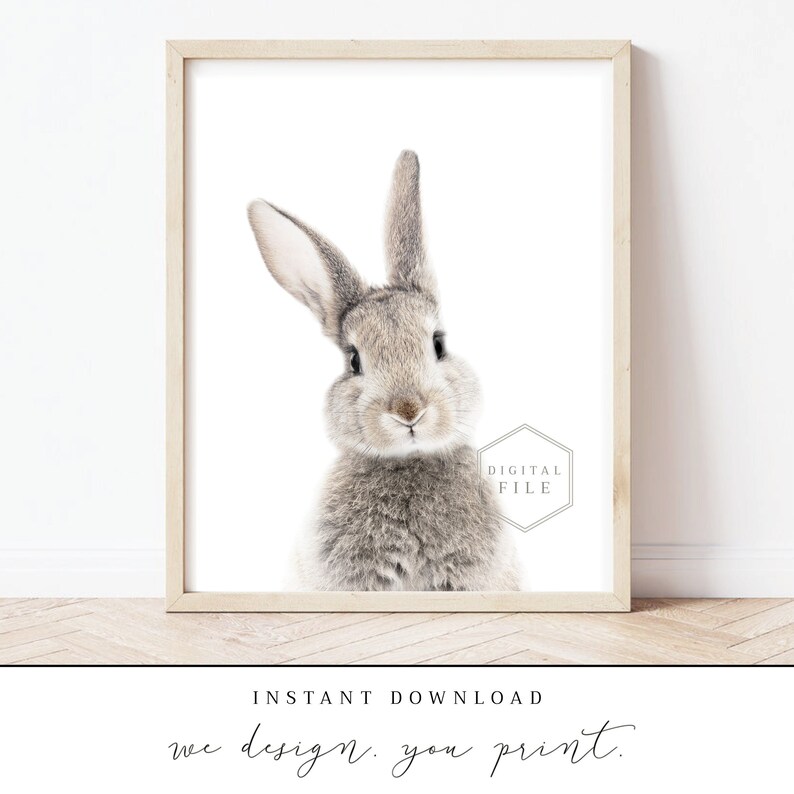 INSTANT Download Baby Bunny Printable Baby Animal Picture | Etsy UK