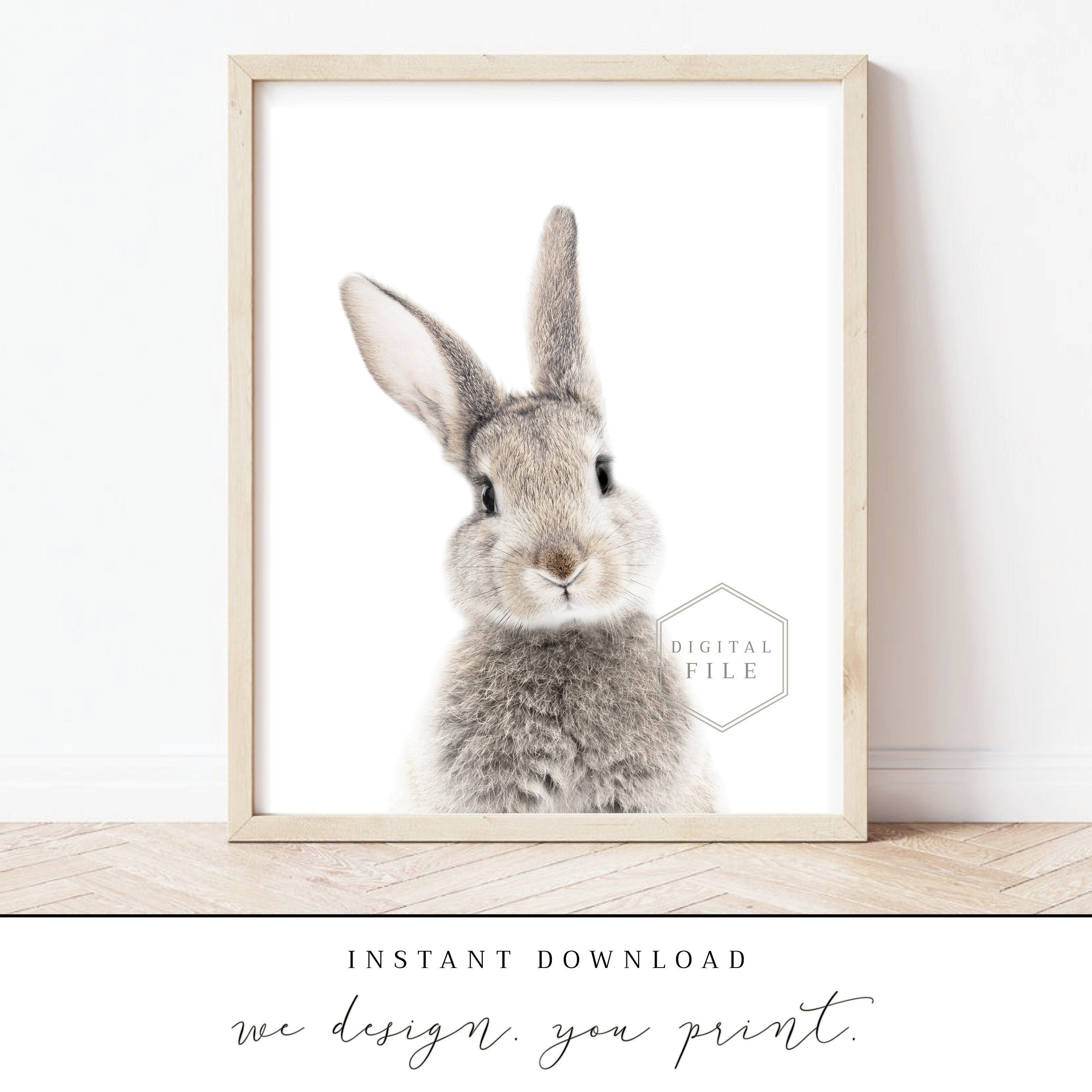 INSTANT Download Baby Bunny Printable Baby Animal Picture | Etsy UK