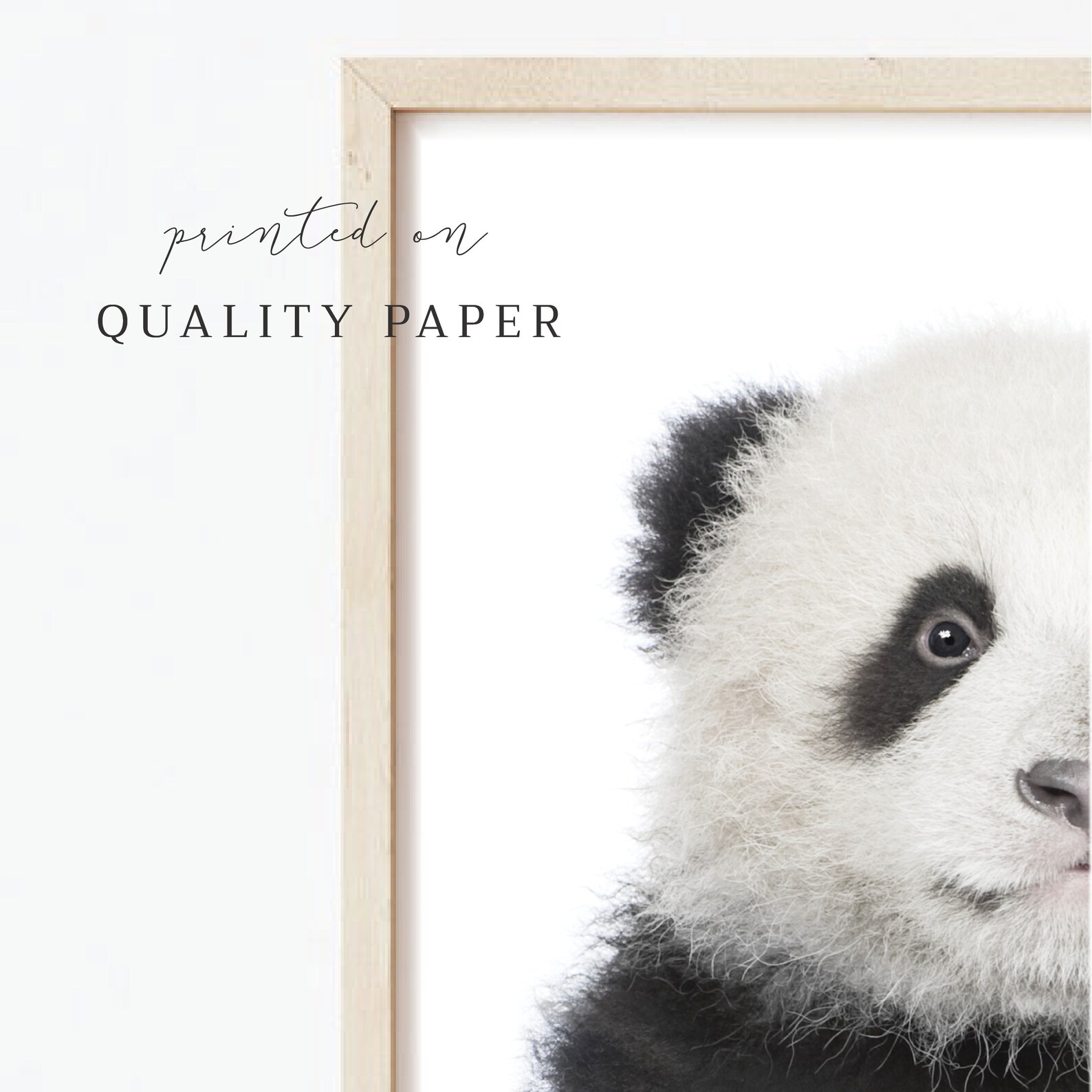 PRINTED Poster Baby Panda Print Safari Baby Animal Picture | Etsy