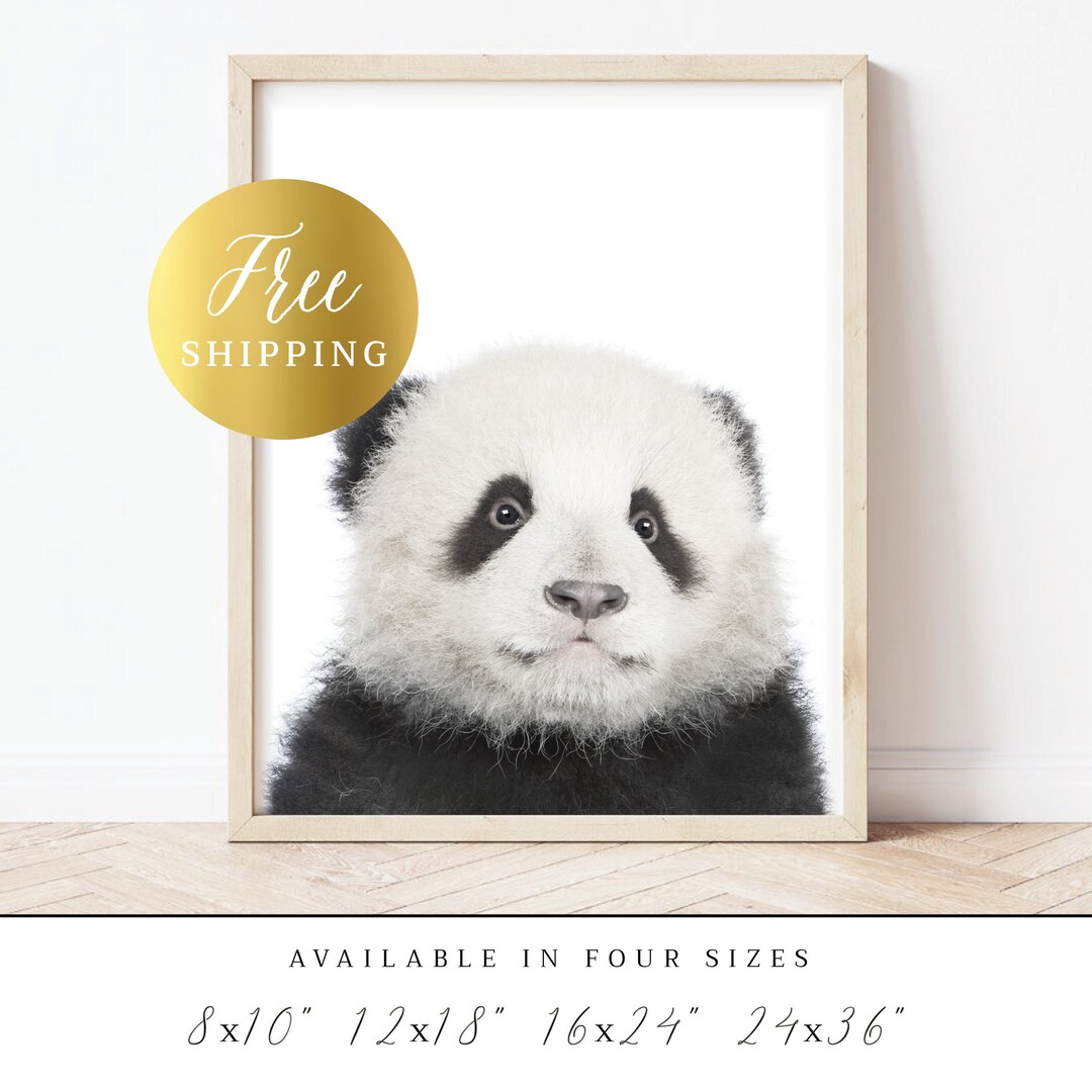 PRINTED Poster | Baby Panda Print, Safari Baby Animal Picture, Panda ...
