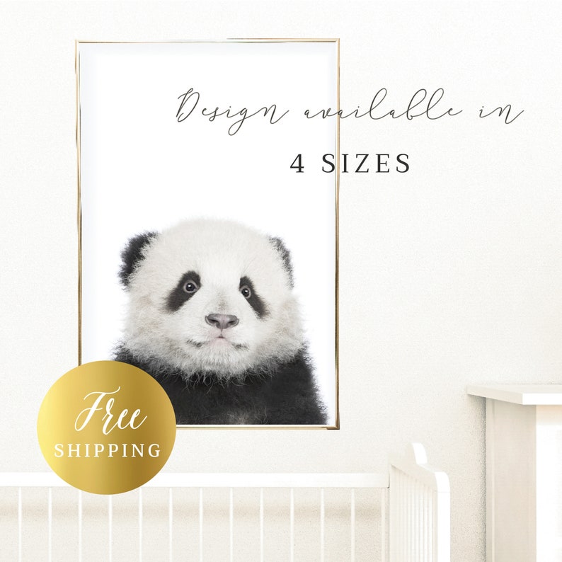 PRINTED Poster Baby Panda Print Safari Baby Animal Picture | Etsy