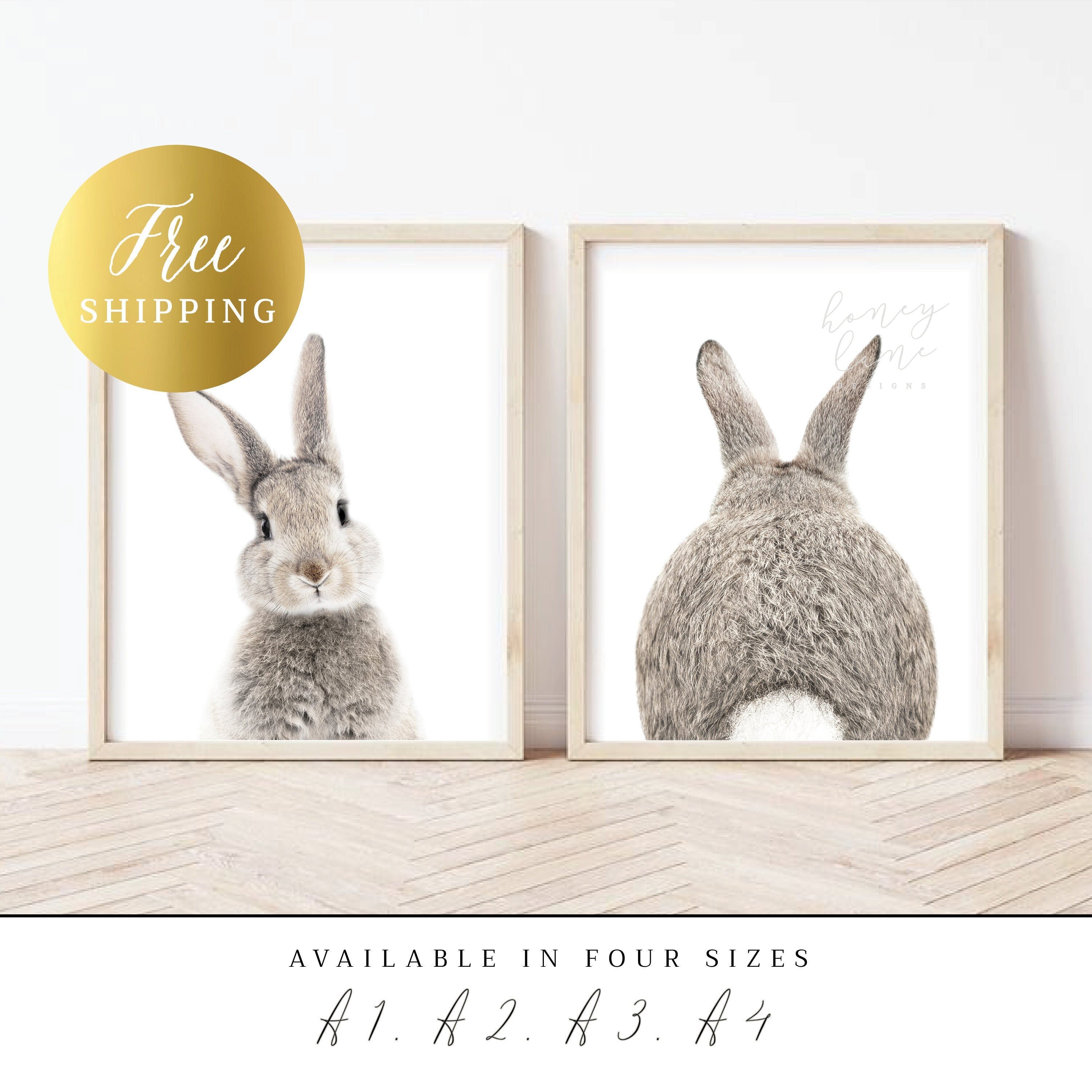 PRINTED Posters Set of 2 Bunny Prints Rabbit Wall Art - Etsy