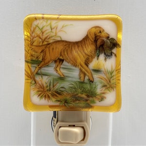 Hunting Dog Night light wall plug in,retriever spaniel water dog, bird hunter family pet, housewarming, nursery beautiful all occasion gift