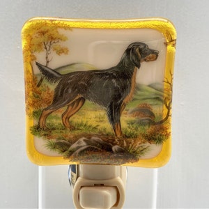 Hunting Dog Night light wall plug in,retriever spaniel water dog, bird hunter family pet, housewarming, nursery beautiful all occasion gift