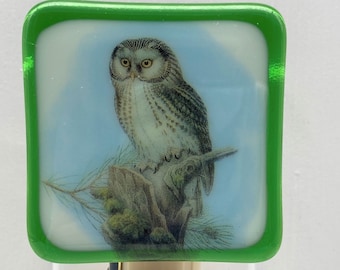 Owl Night light wall plug in, Barn Snowy Horned Hoot Owl, night bird, night hunter, nursery, house warming, beautiful gift