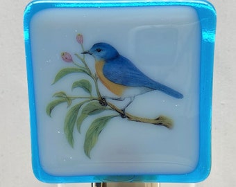 Bluebird Night light wall plug in, Mountain, bird watching lover, backyard feeder, house warming, beautiful gift, holiday nursery