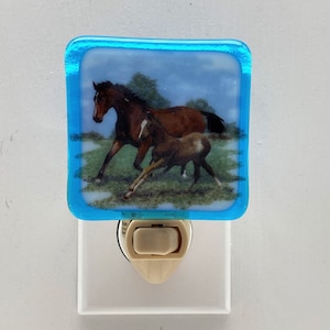 Spina da parete per luce notturna a cavallo, cavalla e puledro, arredamento occidentale, amanti equini, regalo per il riscaldamento della casa, vacanze, asilo nido,