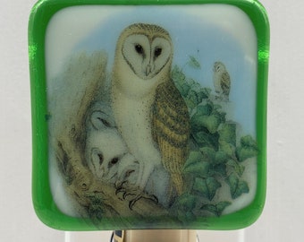 Owl Night light wall plug in, Barn Snowy Hoot Owl, night hunter, nursery, house warming, beautiful gift