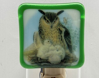 Owl Night light wall plug in, Barn Snowy Horned Hoot Owl, night hunter, nursery, house warming, beautiful gift