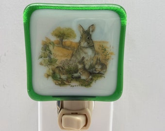 Rabbit Night light wall plug in, bunny pet, backyard farm, hunting, garden eater, house warming, beautiful gift, nursery, 4H