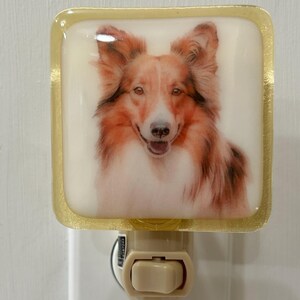 Shetland Sheltie Shepherd night light wall plug in, family pet, big ears, nursery, house warming, beautiful all occasion gift.