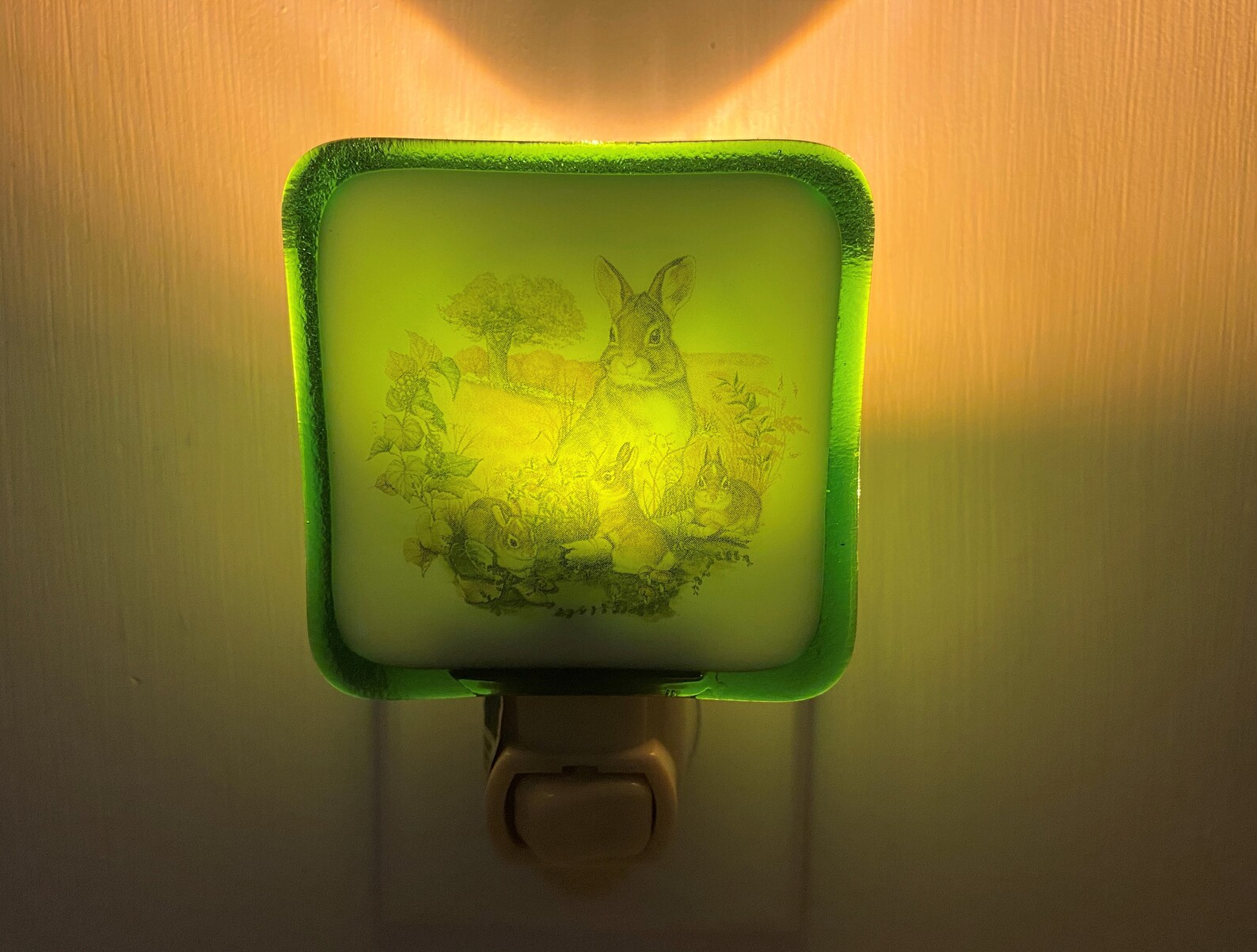 Rabbit Night Light Wall Plug In Bunny Pet Backyard Farm Etsy