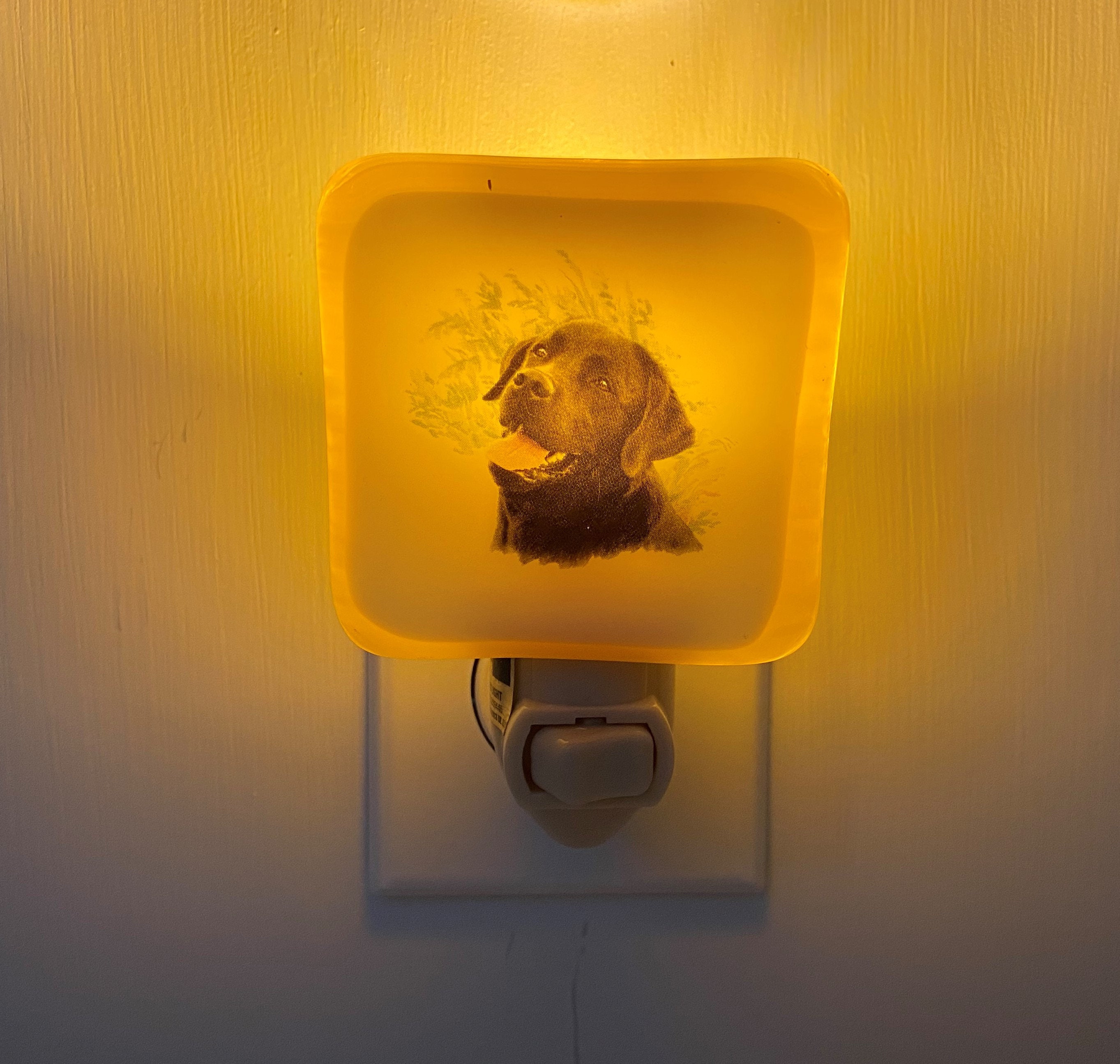 Black Lab Night light wall plug in Black Labrador retriever Etsy