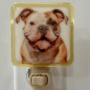 Bull Dog night light wall plug in, family pet, canine, big ears, nursery, house warming, beautiful all occasion gift.