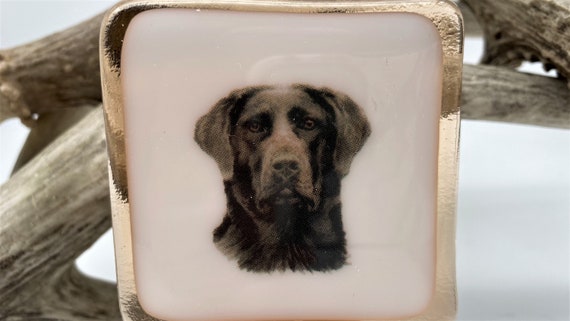 labrador night light