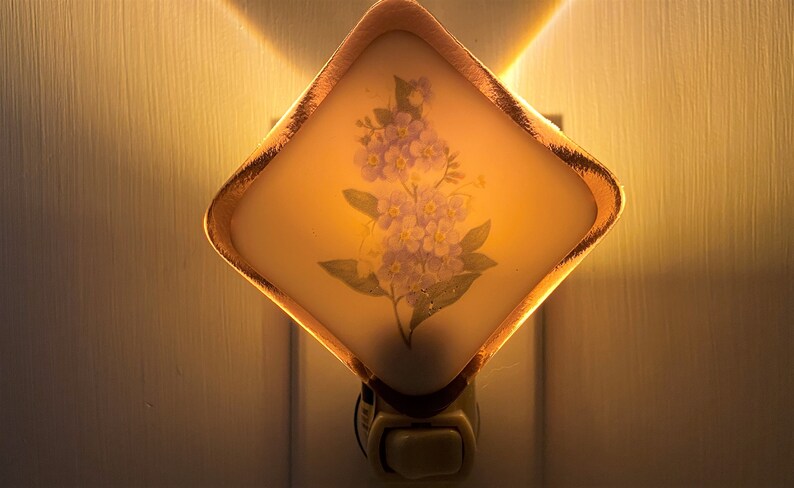 Forget-me-nots Night light wall plug in housewarming flower wild nature mountain nursery beautiful all occastion gift