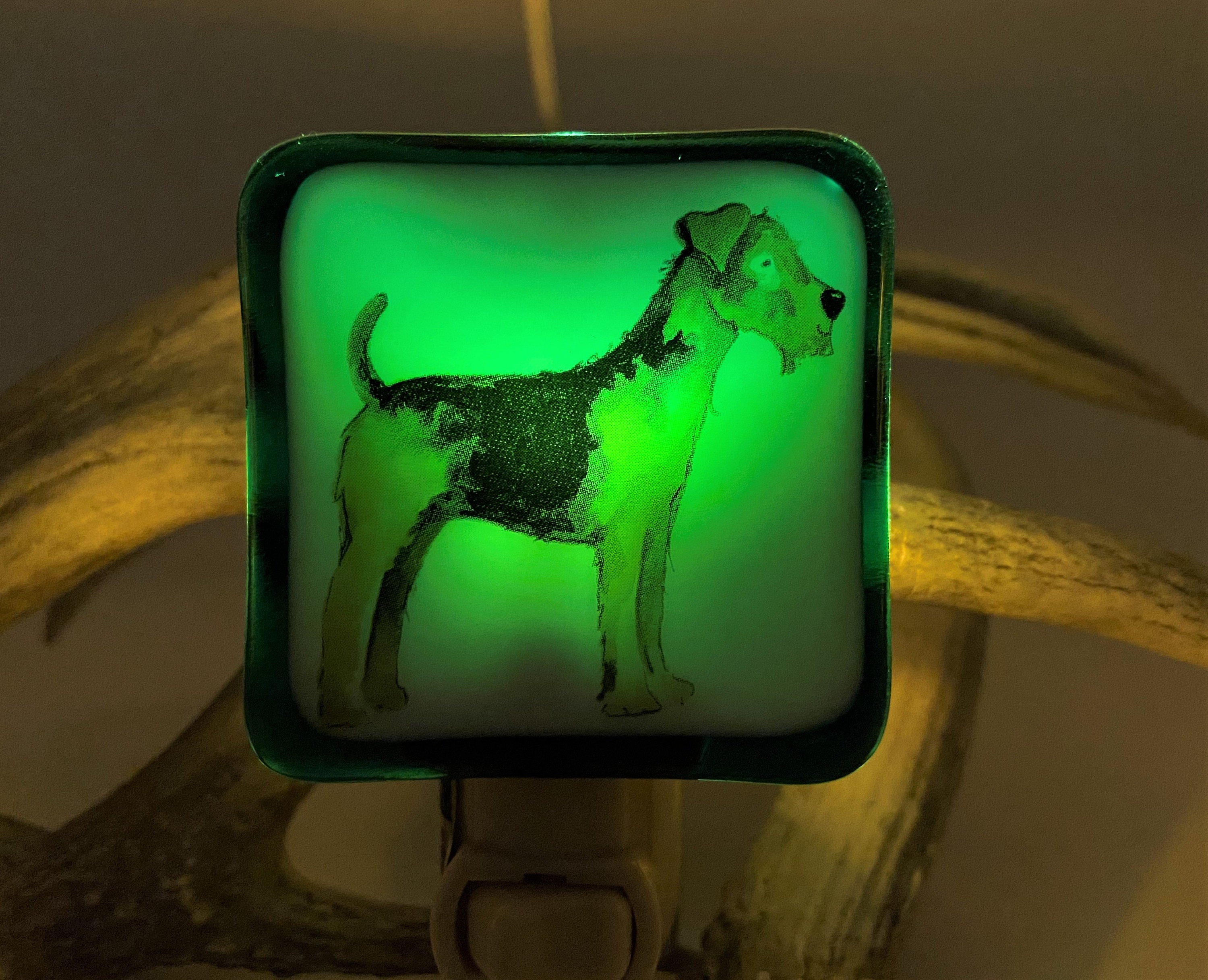 Fox Terrier Night Light Wall Plug In, Airedale Hunting Family Dog