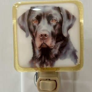 Black Lab Night light wall plug in, family pet, canine hunting, big ears, nursery, house warming, beautiful all occasion gift.