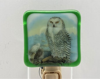 Snowy Owl Night light wall plug in, Barn Snowy Hoot Owl, night hunter, nursery, house warming, beautiful gift