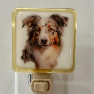 Australian Shepherd night light wall plug in, family pet, canine hunting, big ears, nursery, house warming, beautiful all occasion gift.