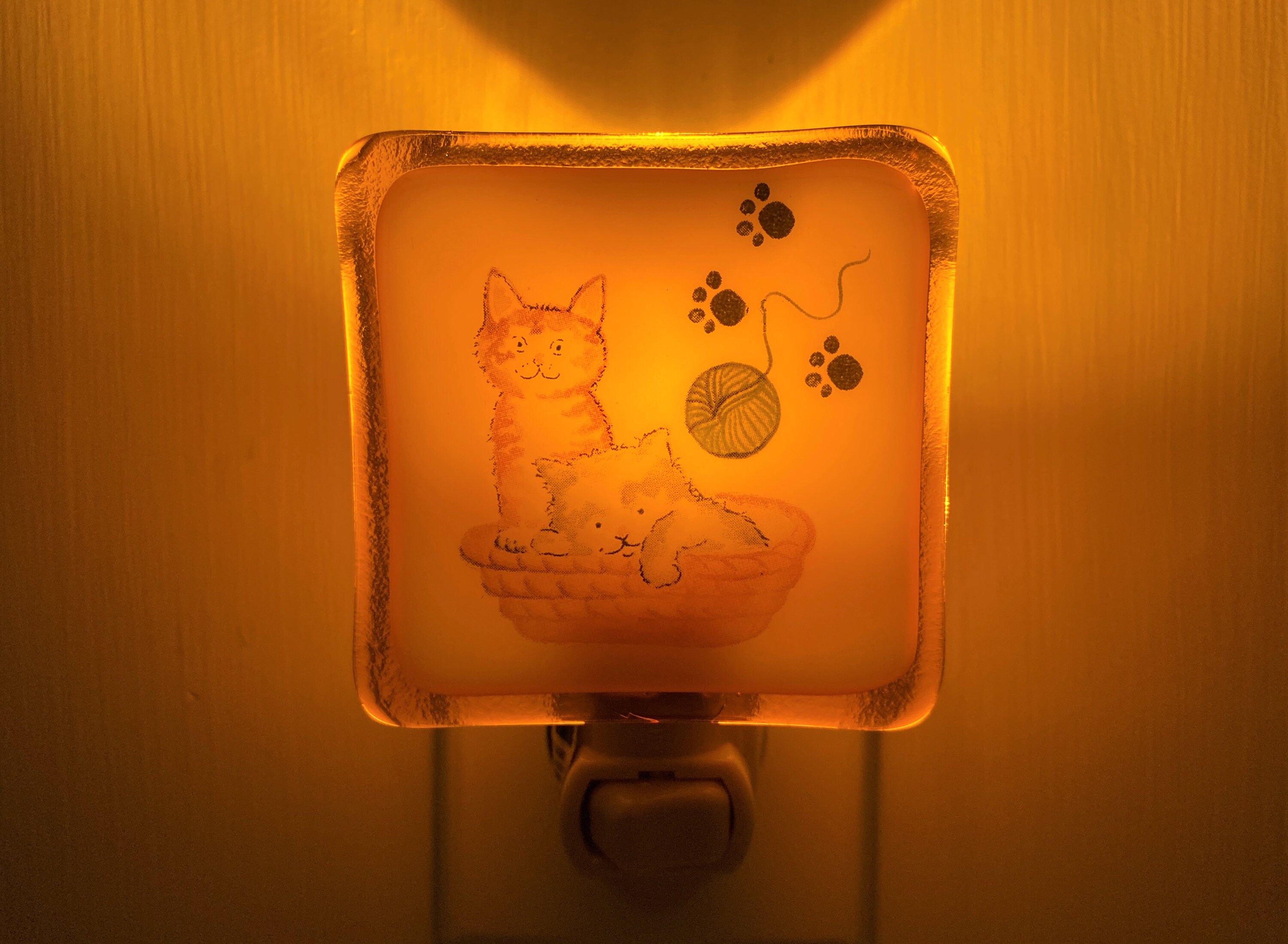 Kitten Cat Night light wall plug in Pets Kitty kids childs Etsy