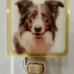Border Collie night light wall plug in, family pet, canine hunting, big ears, nursery, house warming, beautiful all occasion gift.