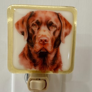 Chocolate Lab night light wall plug in, family pet, canine hunting, big ears, nursery, house warming, beautiful all occasion gift.