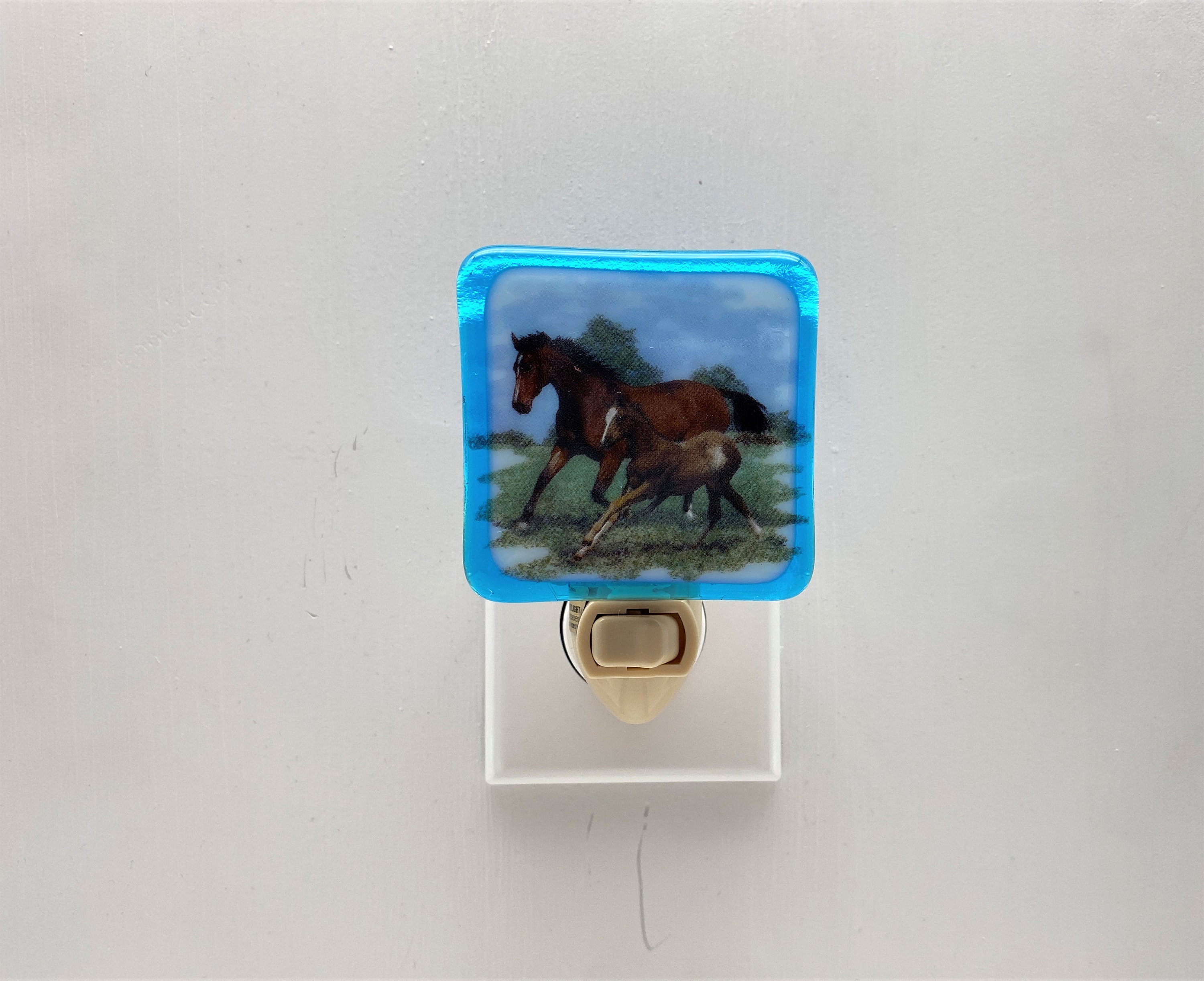 Horse Night light wall plug in Mare and colt Western decor Etsy